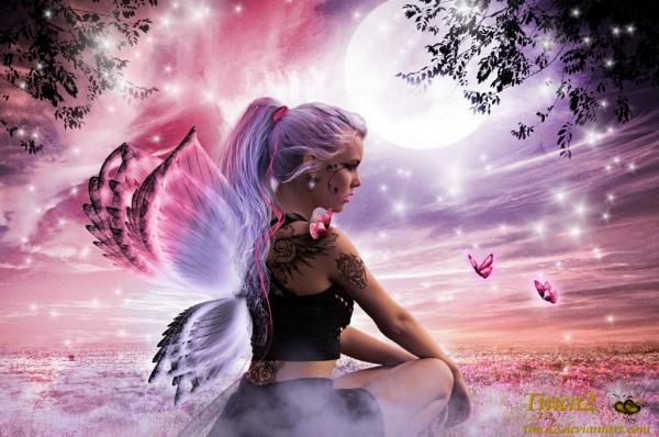 Butterfly lady desktop background 518457